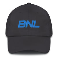 Alternative Hero - Brand New Lions Dad hat