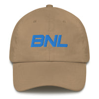 Alternative Hero - Brand New Lions Dad hat