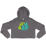 Alternative Hero - Detroit Native Crop Hoodie - Storm / S