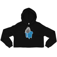 Alternative Hero - Dumpster Fire Crop Hoodie - Black / S