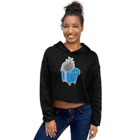 Alternative Hero - Dumpster Fire Crop Hoodie