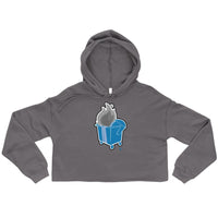 Alternative Hero - Dumpster Fire Crop Hoodie - Storm / S