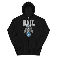 Alternative Hero - Hail Basic Unisex Hoodie - Black / S