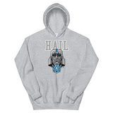 Alternative Hero - Hail Basic Unisex Hoodie - Sport Grey / S