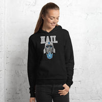 Alternative Hero - Hail Unisex hoodie