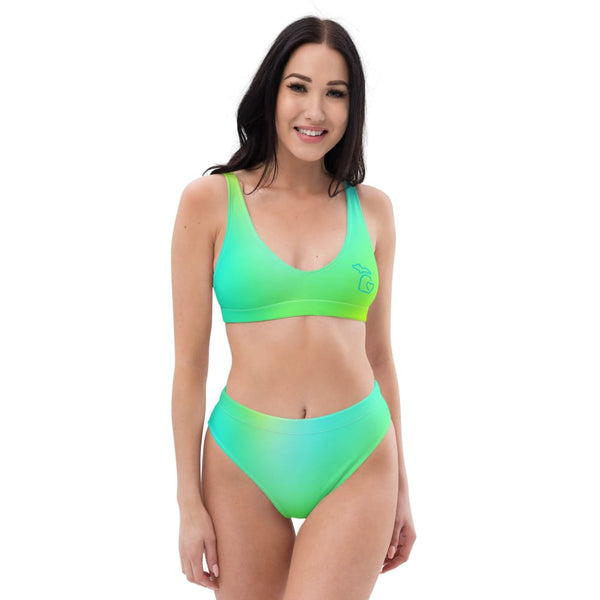 Alternative Hero - Michigan Heart Recycled high-waisted bikini