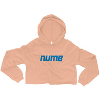 Alternative Hero - Numb Crop Hoodie - Peach / S