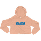 Alternative Hero - Numb Crop Hoodie - Peach / S