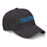 Alternative Hero - Numb Dad hat