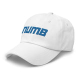 Alternative Hero - Numb Dad hat
