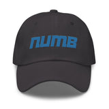 Alternative Hero - Numb Dad hat - Dark Grey