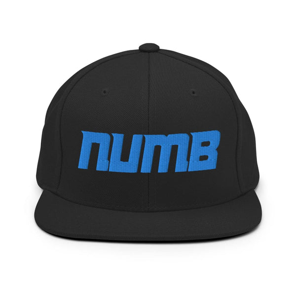 Alternative Hero - Numb Snapback Hat - Black