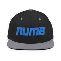 Alternative Hero - Numb Snapback Hat - Black/ Silver