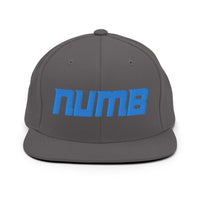 Alternative Hero - Numb Snapback Hat - Dark Grey