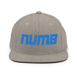 Alternative Hero - Numb Snapback Hat - Heather Grey