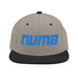 Alternative Hero - Numb Snapback Hat - Heather/Black