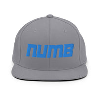 Alternative Hero - Numb Snapback Hat - Silver