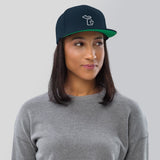 MI State - Michigan Premium Snapback Hat